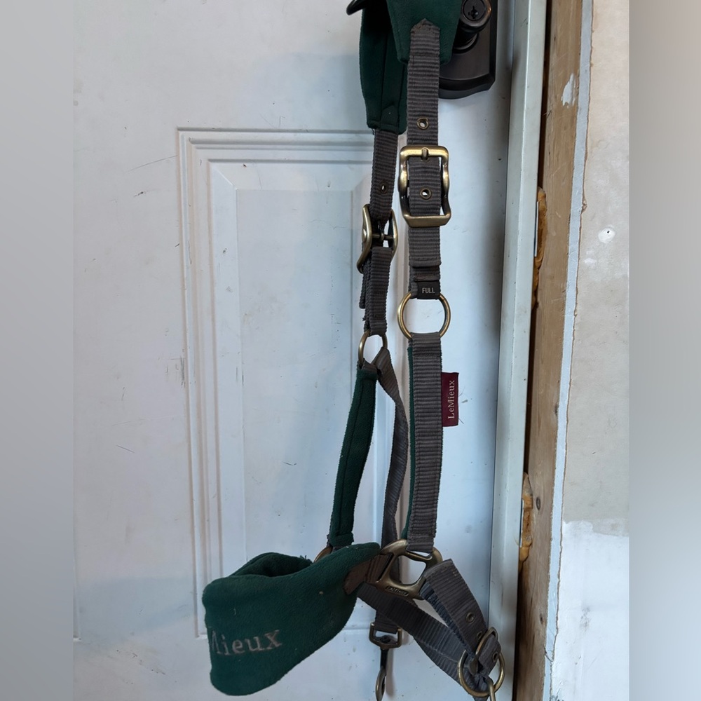 Lemieux Spruce Halter